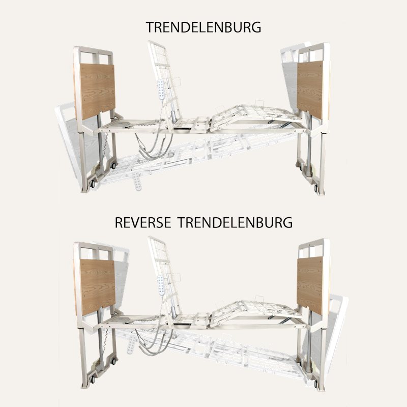 z-D500_5_Function_Ultra-Low_Bed_-_2__12005_D500_full-hgt-and-full-upright_profile-view-with-trendelenburg-and-reverse-trendelenburg_72dpi_qy3t0b
