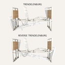 z-D500_5_Function_Ultra-Low_Bed_-_2__12005_D500_full-hgt-and-full-upright_profile-view-with-trendelenburg-and-reverse-trendelenburg_72dpi_qy3t0b