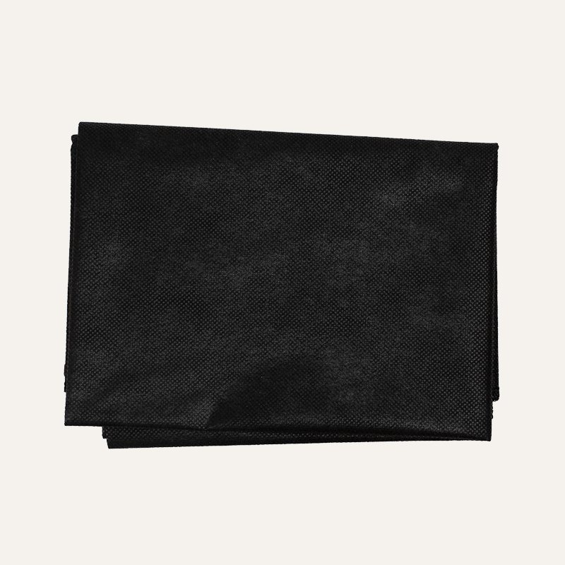 8161BLK_8161BL_paper-cvr_folded_72dpi_xyrawr