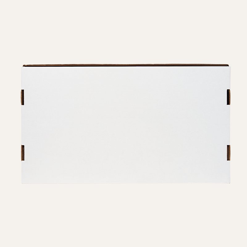 10450-CH_10450-CH_ove-tab_BX_bck_72dpi_apjtsa
